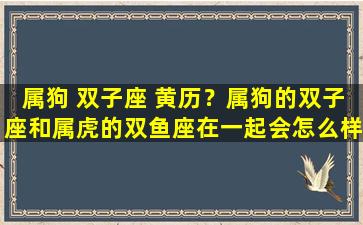 属狗 双子座 黄历？属狗的双子座和属虎的双鱼座在一起会怎么样